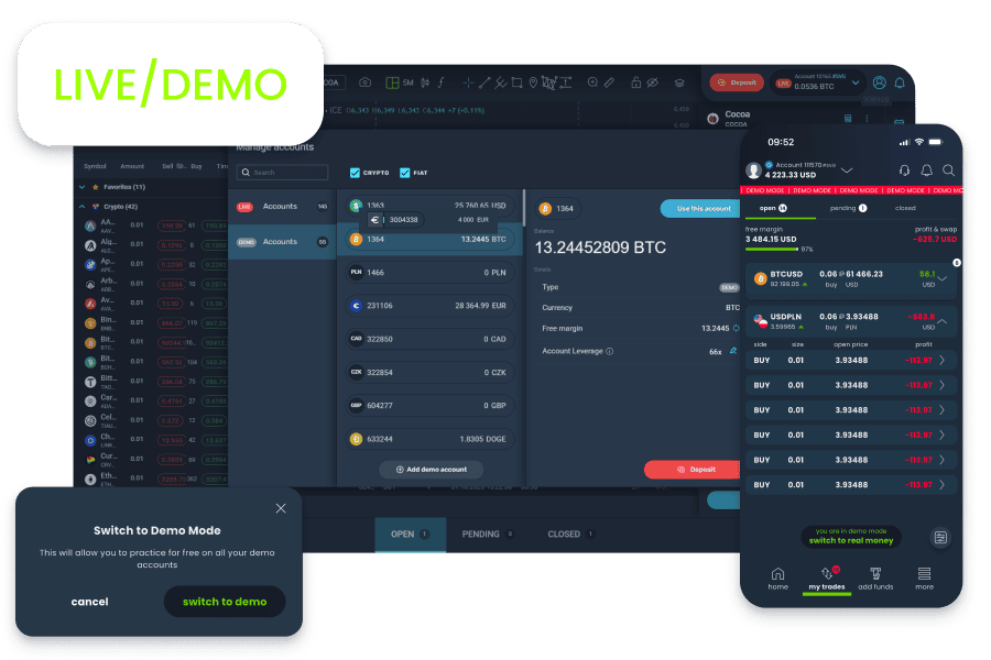 Demo and live accounts