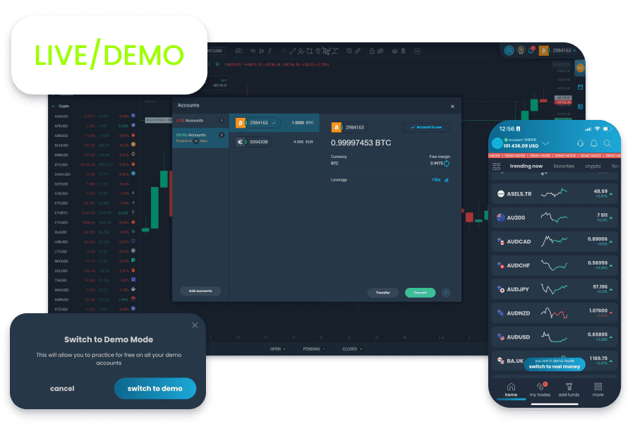 Demo and live accounts